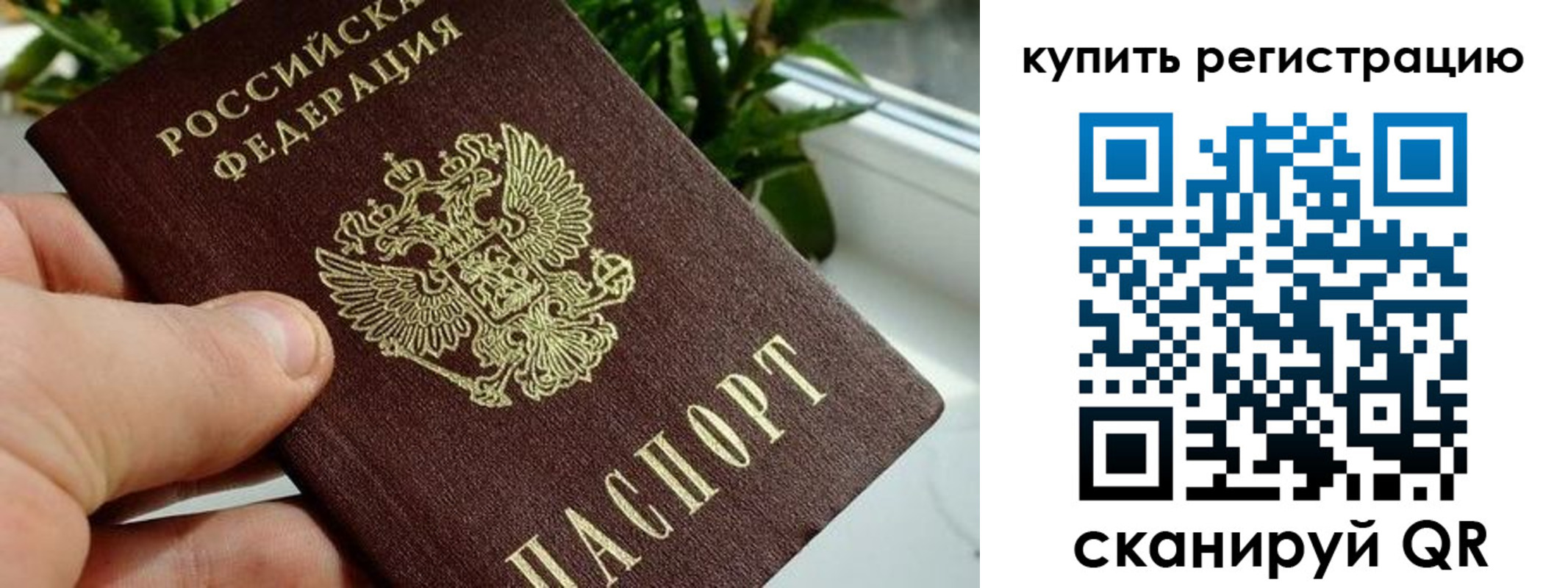 прописка гарантия в Нефтекумске
